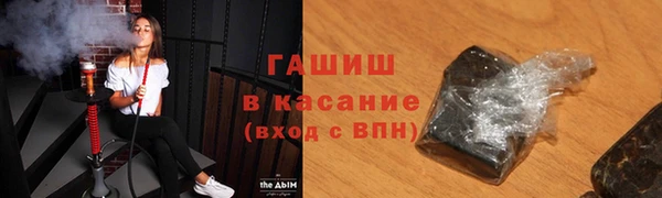 твердый Гусев