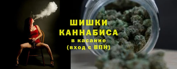 спиды Дмитриев