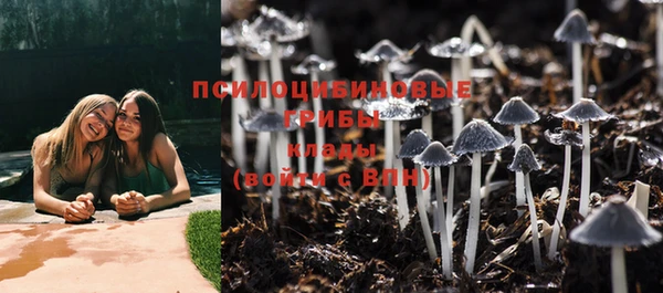 прущий лед Дмитров