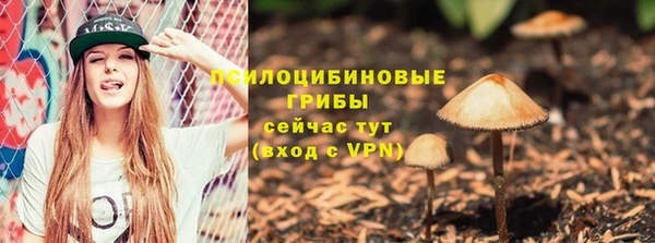 спиды Дмитриев